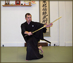 The Art of Japanese Swordsmanship - Nick Suino